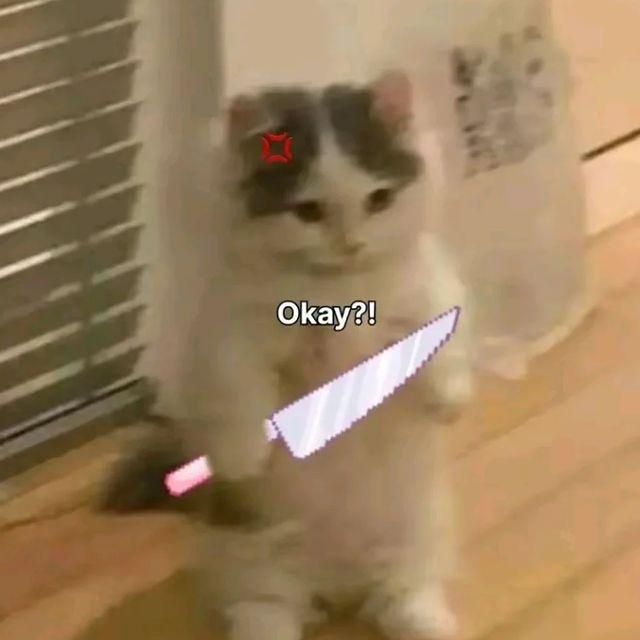 [[Instant~Verified~Policy]] Delta Airlines® Name Change Policy– Easy & Clear Guide